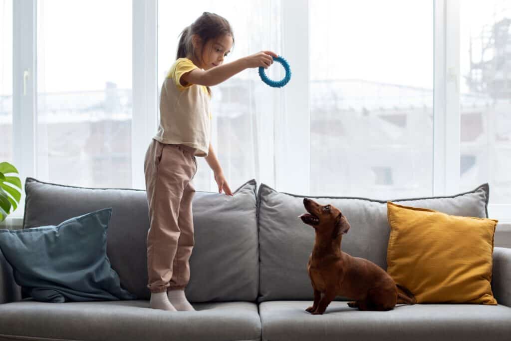 A kid playing with their pet dog on the sofa